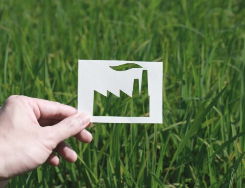Greenwashing, i claim ambientali devono essere dimostrabili