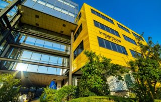 intercos bilancio 2024