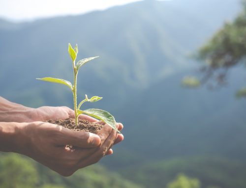 Stop al greenwashing: claim ambientali sotto esame