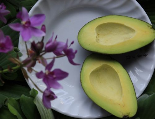 L’avocado è il nuovo ingrediente di tendenza per i prodotti skincare