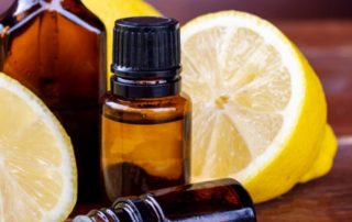 Misitano & Stracuzzi chiude il primo semestre 2024 con ricavi per 35,8 milioni