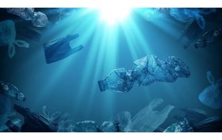 unilever plastica vergine