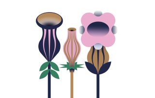 physio natura kit natalizi