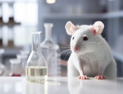 Il Cile dice stop alla sperimentazione cosmetica sugli animali