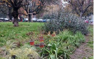 cosnova italia riqualifica area verde