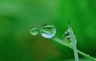 groupe berkem laboratoires eriger