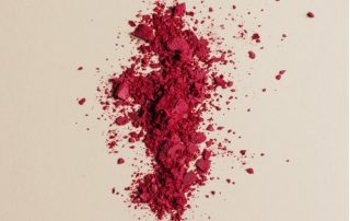 carminio debut biotechnology