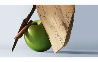 coty tavola rotonda intersettoriale