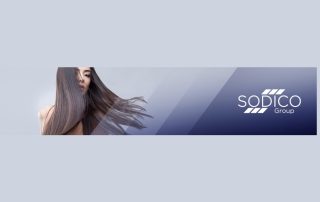 gruppo sodico fatturato 2024