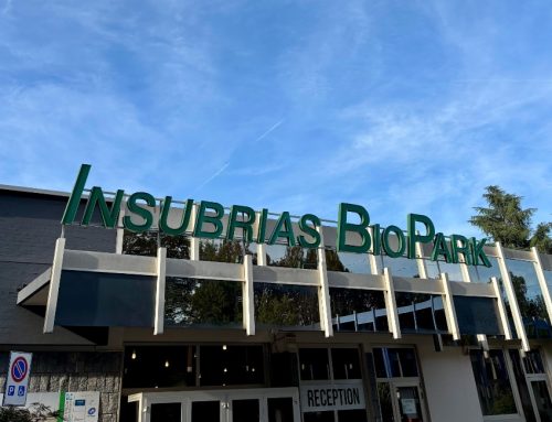 Roelmi Hpc inaugura Roelmi Biotech, il nuovo impianto produttivo dedicato alla biofermentazione