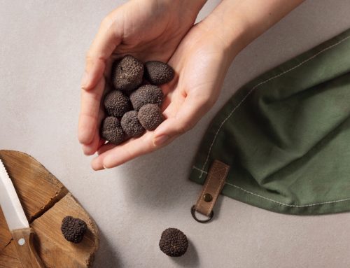 Cosmetici, in Giappone un tonico al tartufo d’Alba tra i prodotti più venduti nel 2025