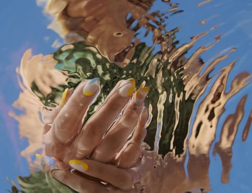 cosnova Italia: la sostenibilità come leva strategica di crescita e responsabilità