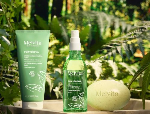 Melvita porta il castagno nella bodycare con L’Or Végétal